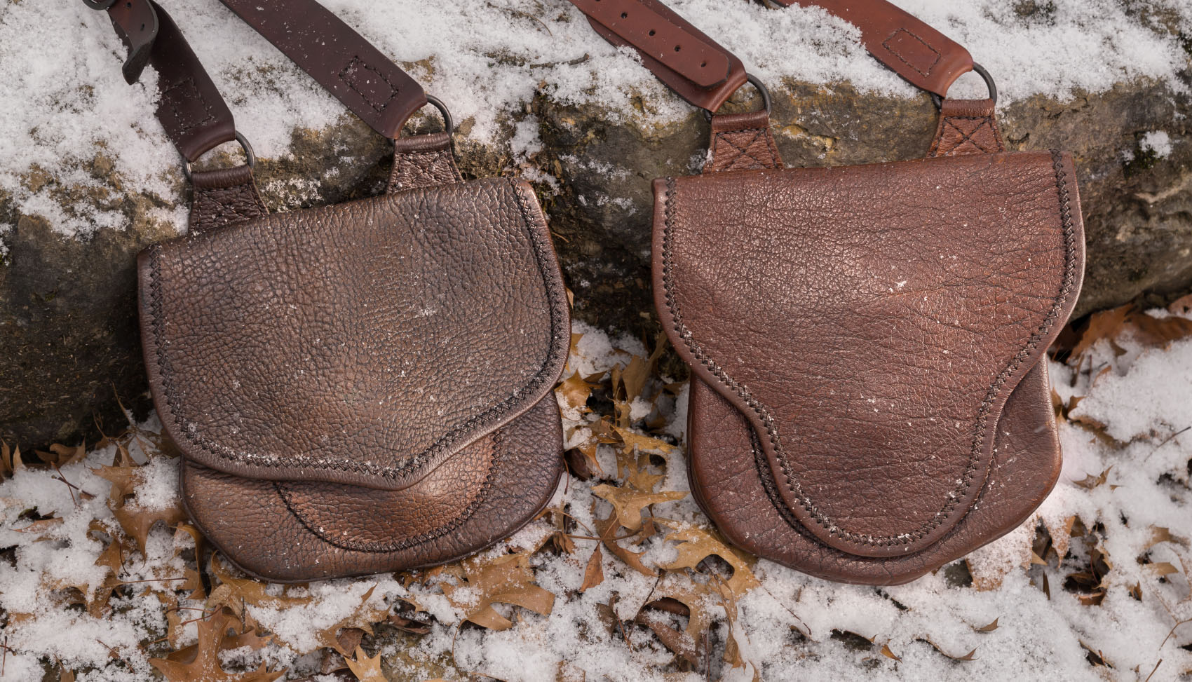scout-beavertail-beauty-1700 snow